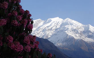 Ghorepani Poon Hill Trekking