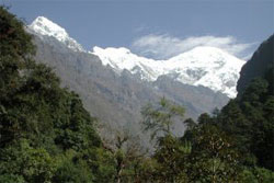 Langtang Trekking
