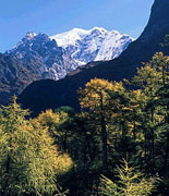 Nepal Short Trek
