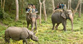 Safari in Nepal